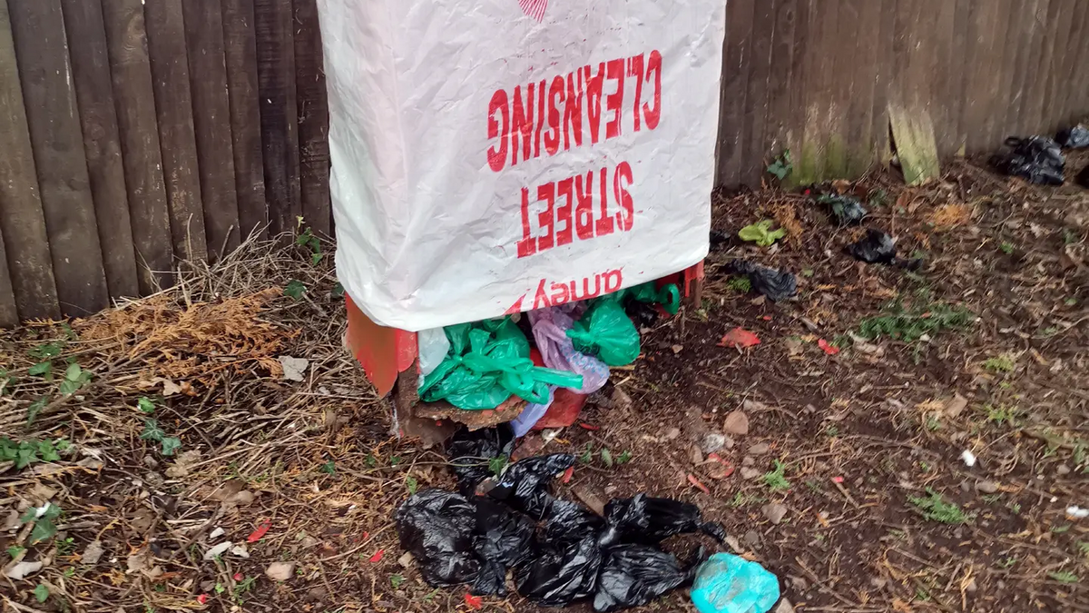 Council leader urged to take action over overflowing dog poo bin in Quedgeley Gloucester